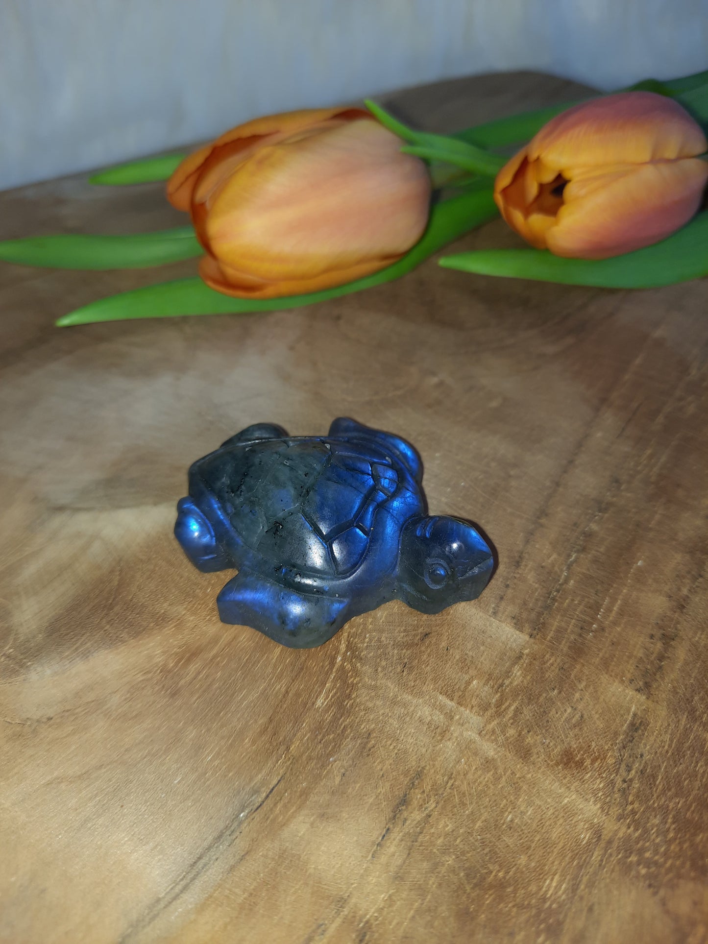 Labradorit Schildkröte Carving