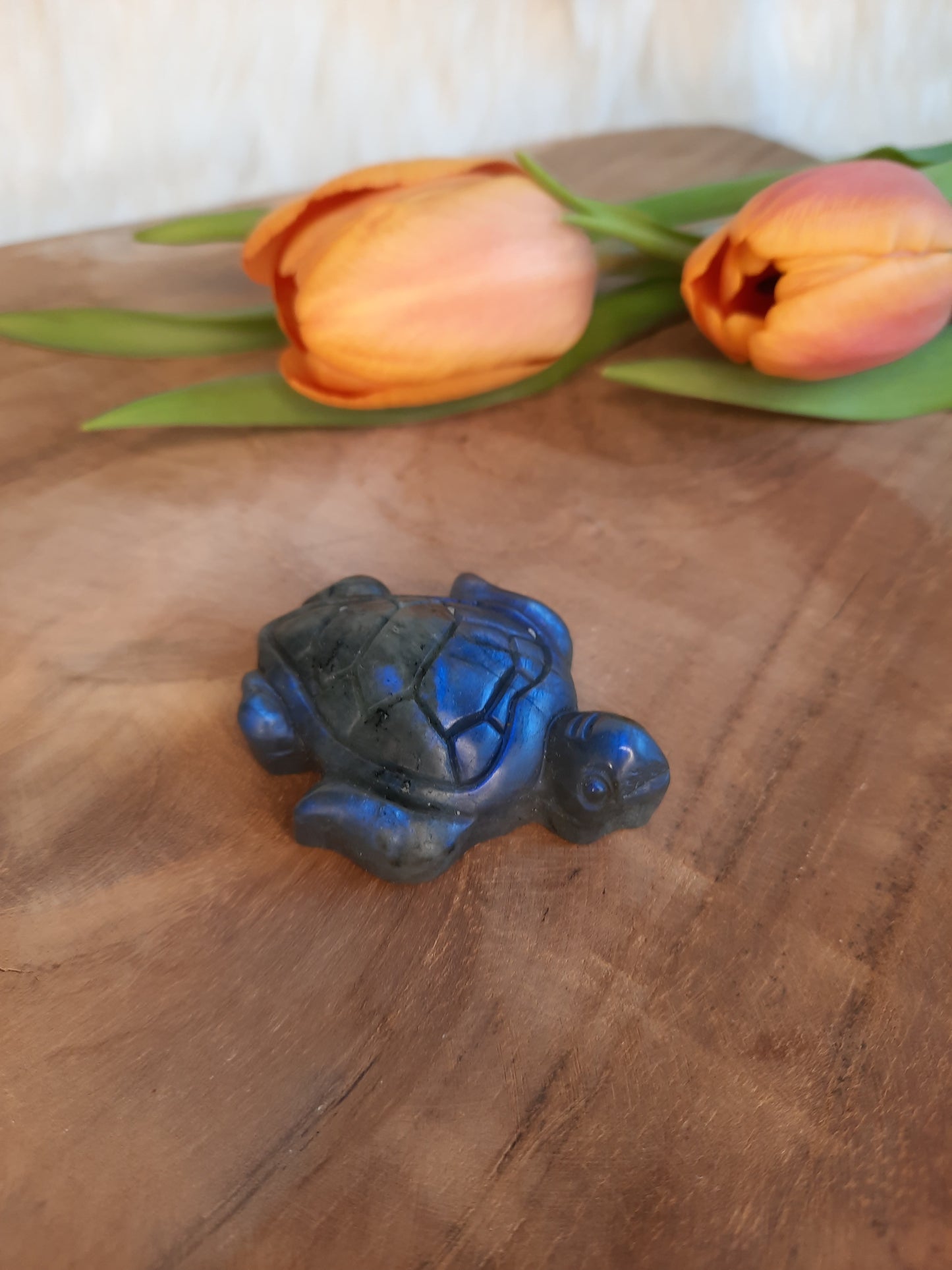 Labradorit Schildkröte Carving