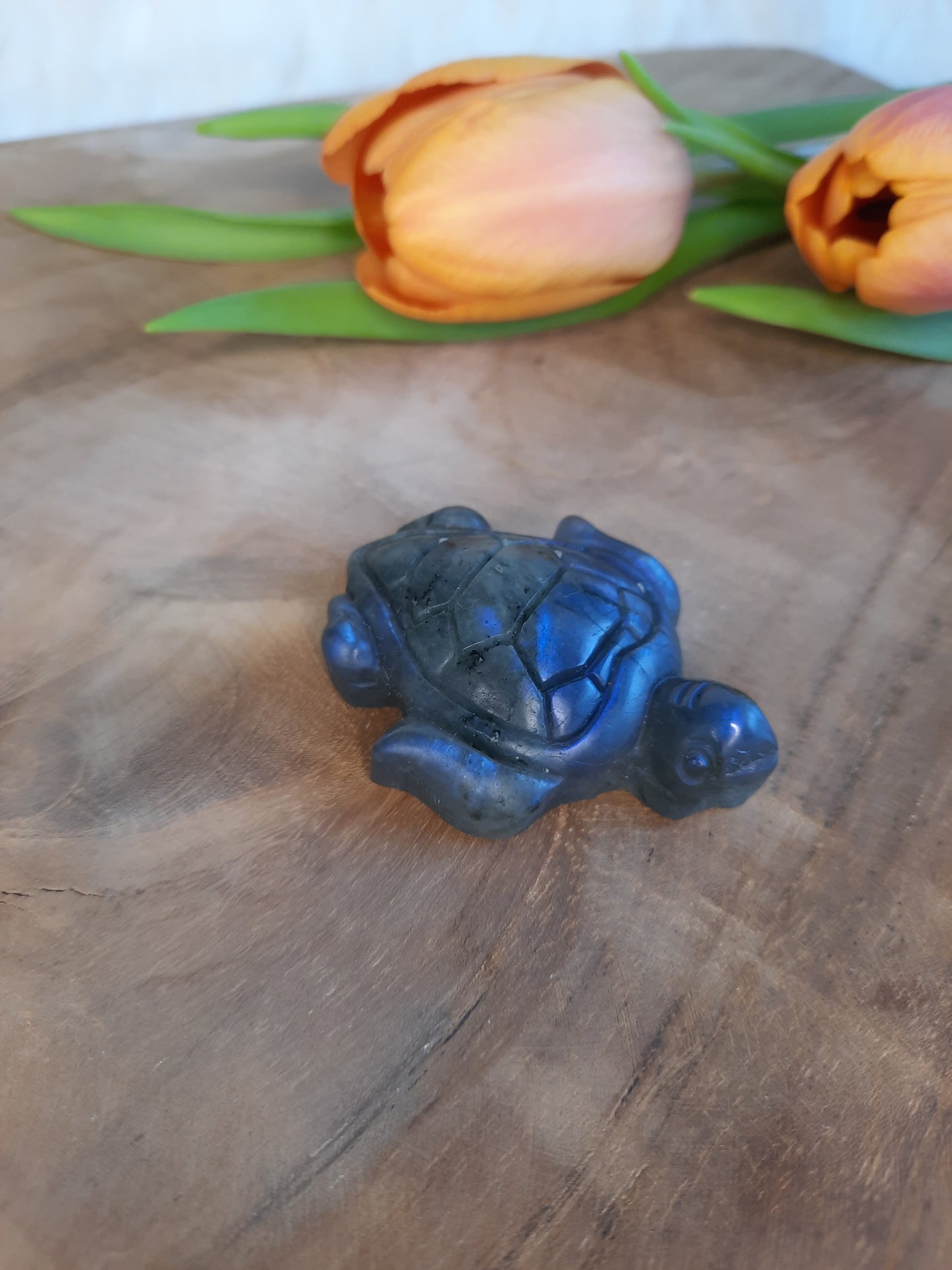 Labradorit Schildkröte Carving