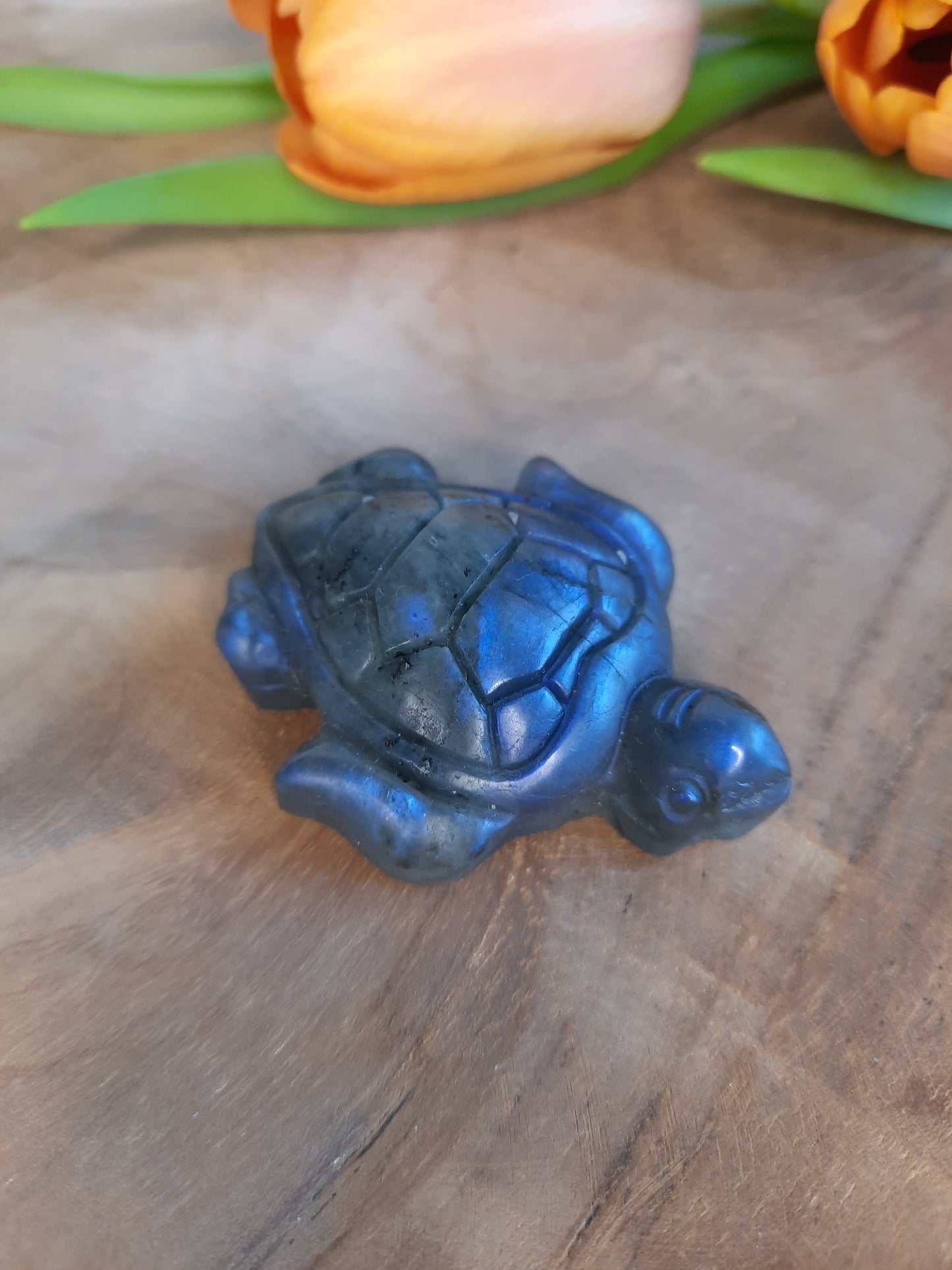 Labradorit Schildkröte Carving