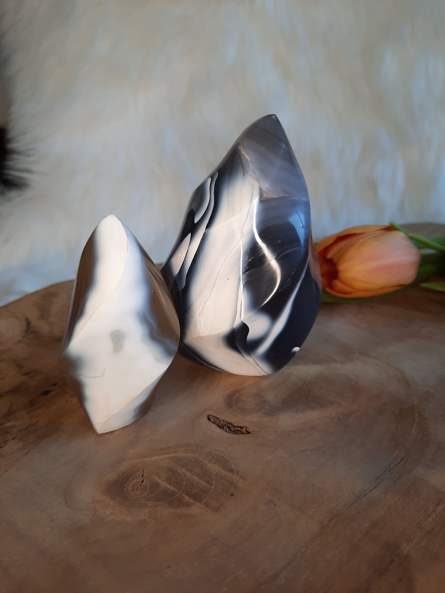 Orca Achat Freeform | Flamme