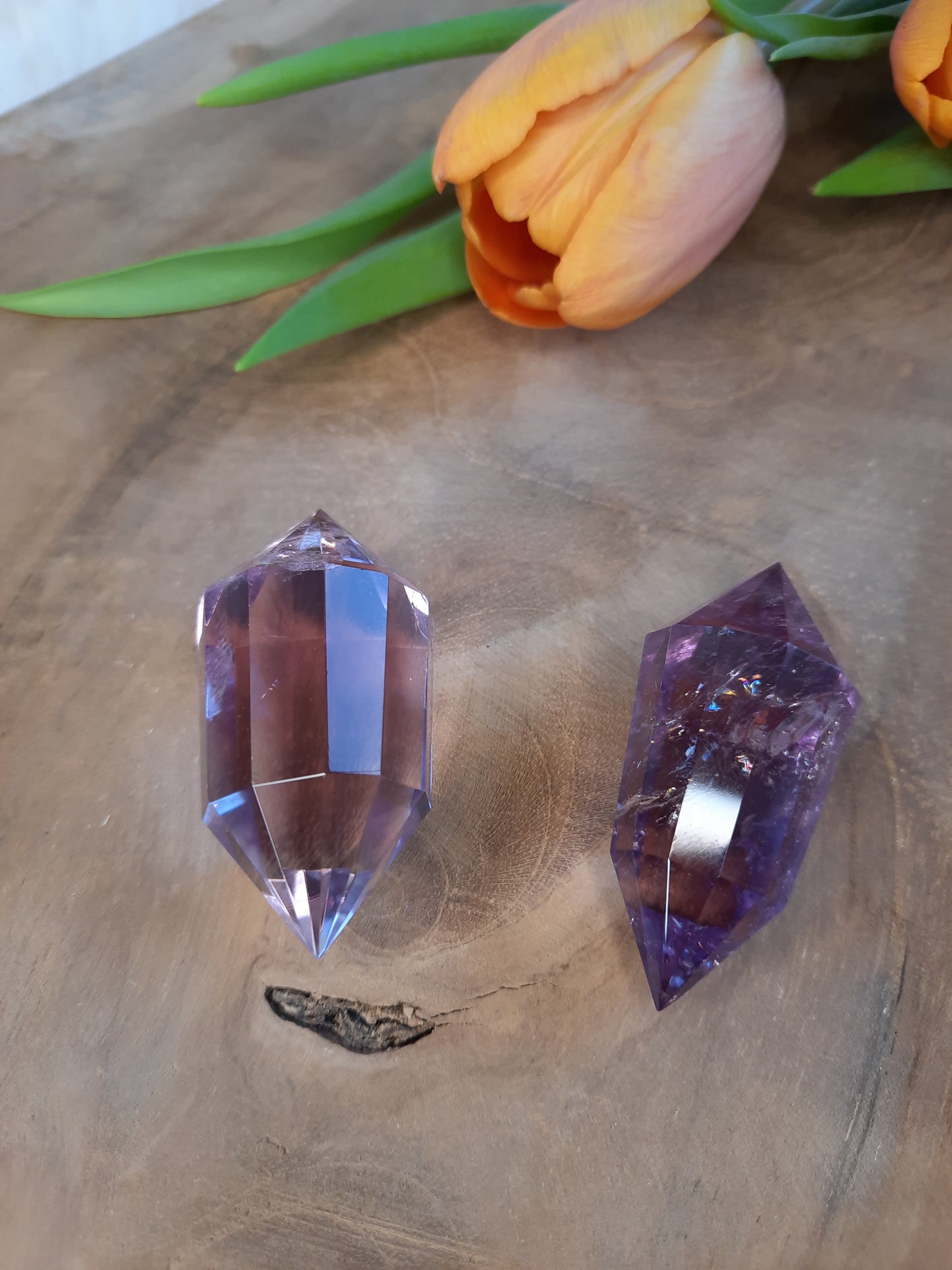 Vogel | Amethyst | Bergkristall | Ametrin | Citrin