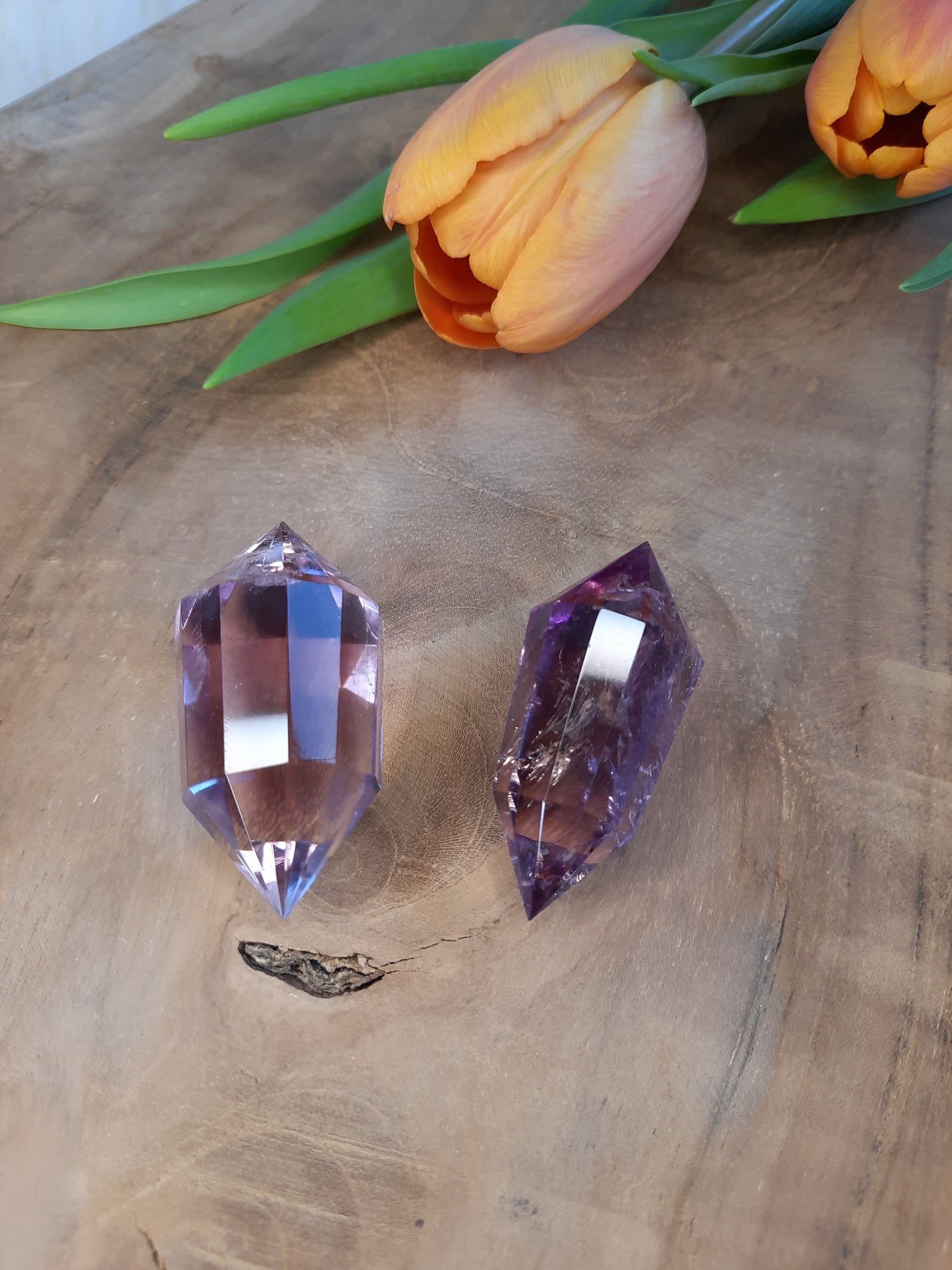 Vogel | Amethyst | Bergkristall | Ametrin | Citrin